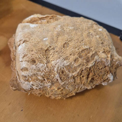 Pan chapata